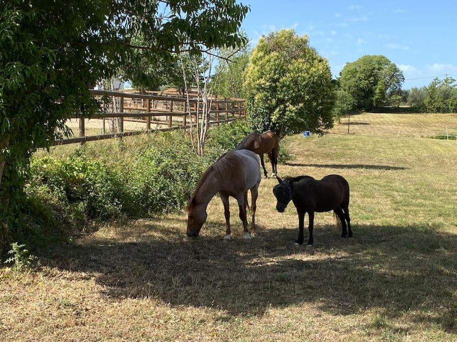 La Bastide De Jean Maison De Charme Dans Un Domaine Equestre Prive Grasse Exterior foto
